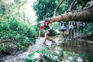 BIB: 
                            <button type="button" onclick="openModal(25446799)" class="btn btn-primary btn-sm float-right btn-popup" data-toggle="modal" data-target=".modal-high-quality">
                        <i class="fas fa-shopping-cart"></i> Add to Cart
                    </button>
                                            <button type="button" onclick="isThisMe(25446799, true)" class="btn btn-success btn-sm float-right btn-popup btn-isme hidden" data-toggle="tooltip" data-placement="bottom" title="นี่คือรูปของคุณใช่ไหม คลิกที่นี่เพื่อเอาเข้าอัลบั้ม">
                        <i class="fas fa-plus"></i> Add to album
                    </button>
                    <button type="button" onclick="isThisMe(25446799, false)" class="btn btn-warning btn-sm float-right btn-popup btn-isnotme hidden">
                        <i class="fas fa-ban"></i> Remove from album
                    </button>